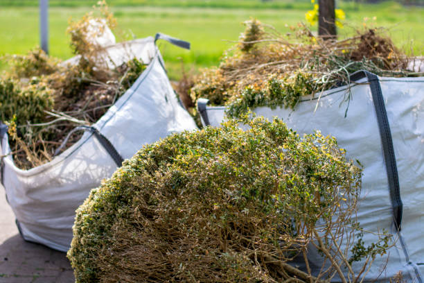 Best Hoarding Cleanup  in Santa Moni, CA